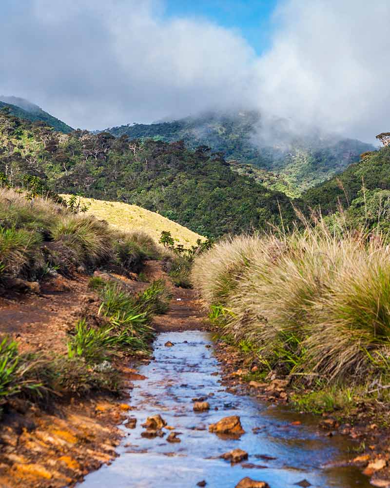 Horton Plains & World’s End